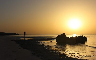 Gulf of Aqaba Trail ( Dahab : Nuweiba )