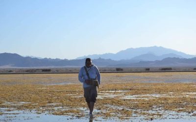 Gulf of Aqaba Trail ( Dahab : nabq )