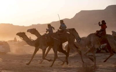 Camel Racing in Sinai